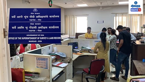 Land and survey department 