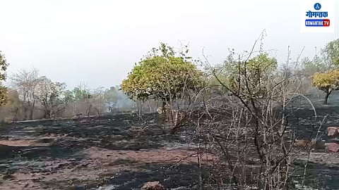 Goa Fire Case