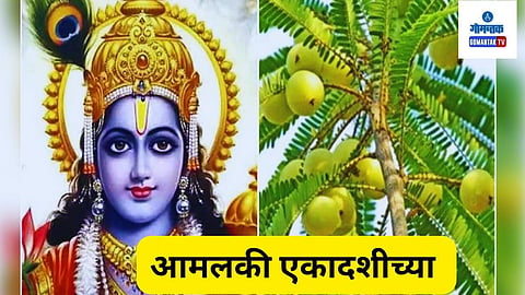 Amalaki Ekadashi 2024