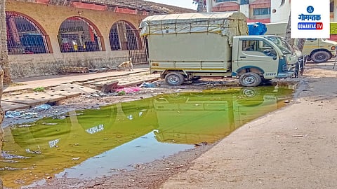 Margao Fish Market
