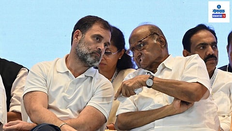 
Rahul Gandhi And Sharad Pawar