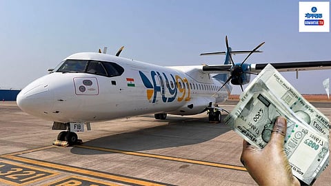 FLy91