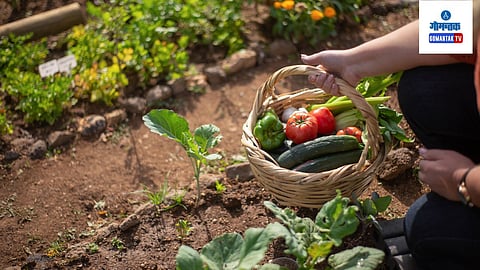 Gardening Tips