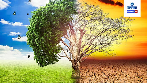 World Meteorological Day