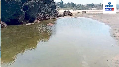 Calangute 