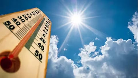 Summer Heat