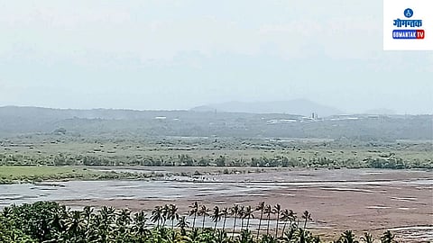 Tiswadi Agriculture