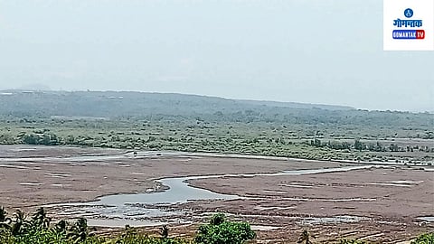 Tiswadi Agriculture 