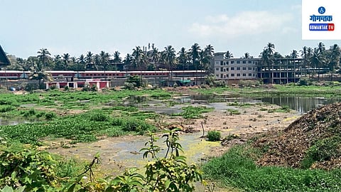 Vasco 