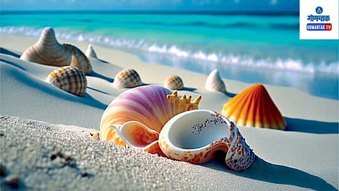 goa beach