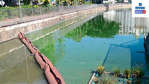 Vasco Lake 