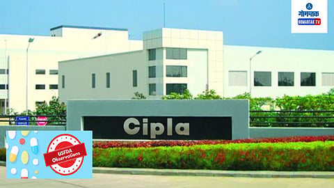 USFDA Cipla Observations For Goa Facility: USFDA सोबत काम करु आणि सर्वसमावेशक पावले उचलू; सिप्ला कंपनीने दिले आश्वासन
