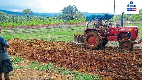 Valpoi Agriculture