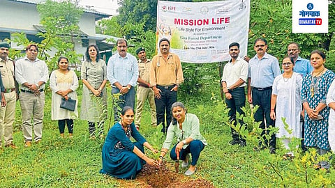 Tree Plantation 