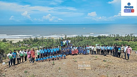 Plantation