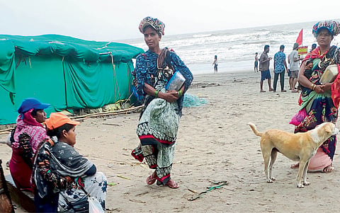 Nuisance on Arambol Beach 