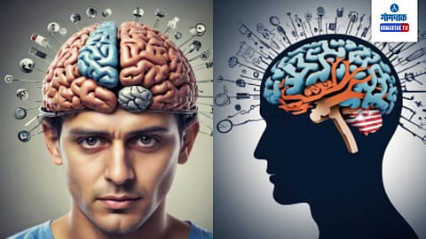 What Is Reverse Brain Drain
