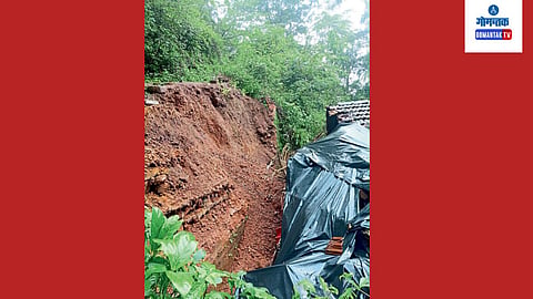 Goa Monsoon: स्थानिकांनी अडकलेल्या बैलाला सुरक्षित बाहेर काढले
