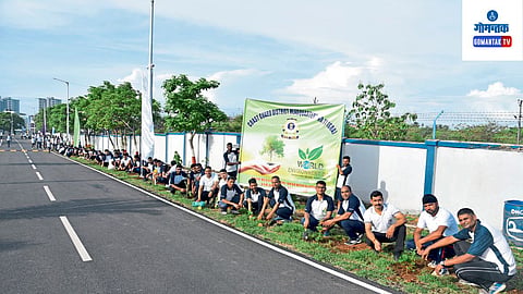 Indian Coast Guard Tree Plantation 