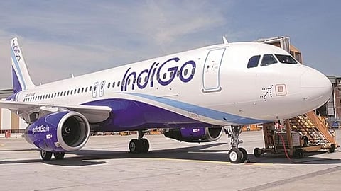 Indigo Flight