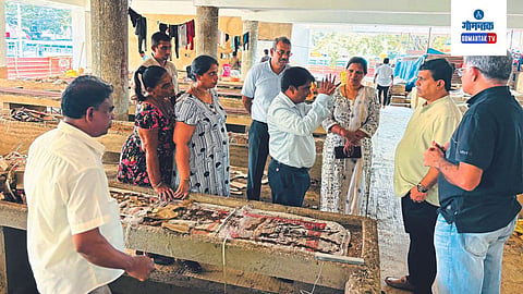 Vasco Fish Market