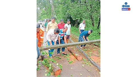 Parra Constituency: वाळपई अग्निशमन दलाच्या जवानांनी चांगली कामगिरी करून बऱ्याच ठिकाणी पडलेल्या झाडे हटवली