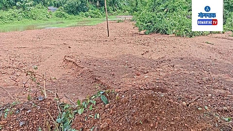Agriculture