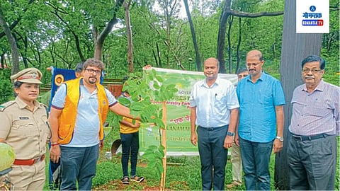 Ponda Forest Festival 