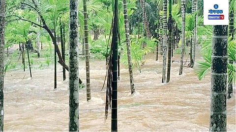 Bicholim Rain
