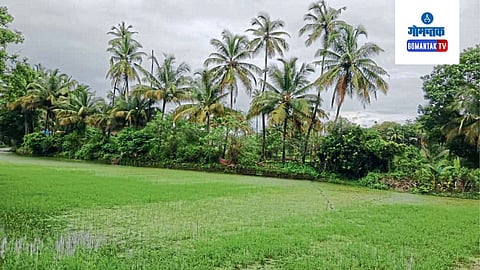 Pernem 