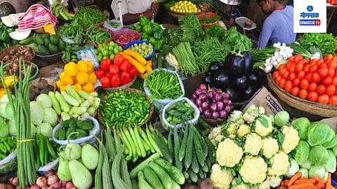 Vegetable 