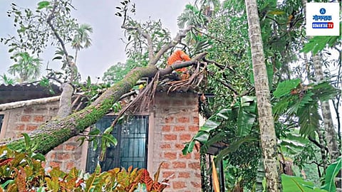 Trees fell In Sattari: वीजवाहिन्या तुटून पडल्या, हजारोंचे नुकसान, अग्निशमनची धावपळ 