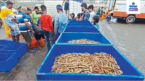 Goa Fishermen