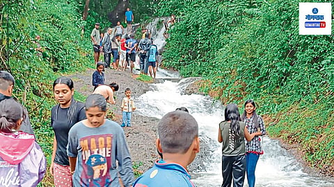 Bicholim: डिचोली शहराला जोडून असलेला धबधबा खळखळून वाहत असून, पावसाळी पर्यटनाची मजा लुटण्यासाठी गर्दी उसळत आहे