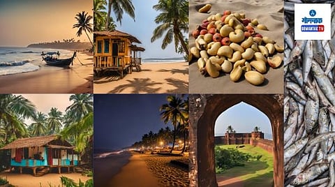 Travel and Tourism Association of Goa (TTAG): असोसिएशनचे उपाध्यक्ष आकाश मडगावकर यांनी दिली माहिती 