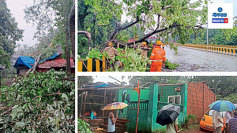 Goa Fire Brigade and Electricity Department: वीज पुरवठा सुरळीत राखण्यासाठी वीज कर्मचाऱ्यांनाही बरेच कष्ट 