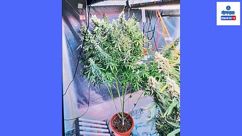 Anti Narcotics Squad of Goa Police: संशयित हा डार्क वेब व टेलिग्राम या सोशल मीडिया चॅनेलवरून विदेशी ग्राहकांना आकर्षित करायचा