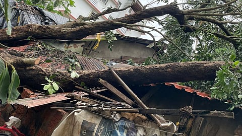 Goa Monsoon: गोव्याला वादळी वाऱ्याचा तडाखा! पडझडीत घरांचे नुकसान, अनेक ठिकाणी वाहतूक विस्कळीत
