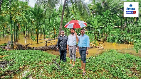 Goa Rain: केळी, सुपारीची झाडे, संरक्षक भिंत वाहून गेली