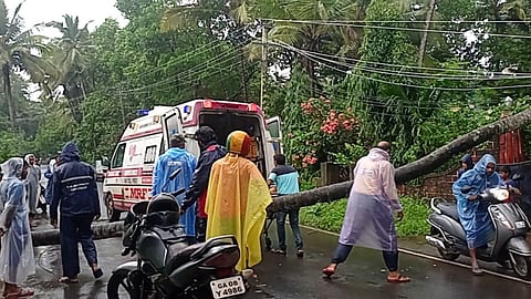 माड कोसळून महिला जखमी, साळगावात भिंत कोसळली; गोव्यात पावसाचे धुमशान, 3 दिवस ऑरेंज अलर्ट