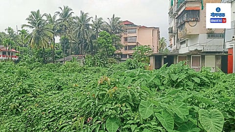 Cape Market: इमारती शेतजमिनीत उभारल्याने सांडपाण्याची डबकी तयार झाली आहेत