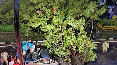 Goa Accident: रविवारची सकाळ ठरली दुर्दैवी; पणजीत झाड कोसळून 19 वर्षीय तरुणीचा अंत