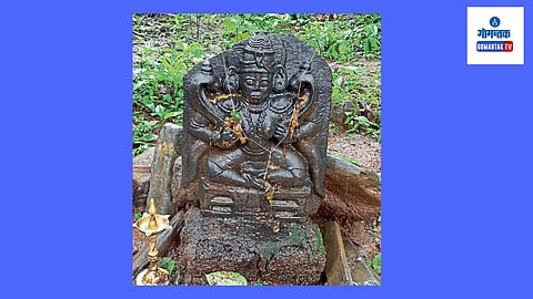 Sattari Forest Devrai: जंगलतोडीमुळे संकट; संवर्धनासाठी सरकारकडून कृती गरजेची; 