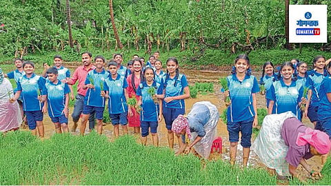 Rice Farming: मुलांना भात लागवड, मशागत, अन्न व इतर गोष्टींचे ज्ञान अवगत व्हावे, यासाठी या उपक्रमाचे आयोजन करण्यात आले होते