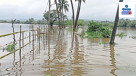 Goa Mine Dispute: मोठ्या प्रमाणात पाणी सोडल्याने डिचोली शहरासह पाणी बाजारात घुसले आणि शहर जलमय झाले असा जनतेचा दावा 