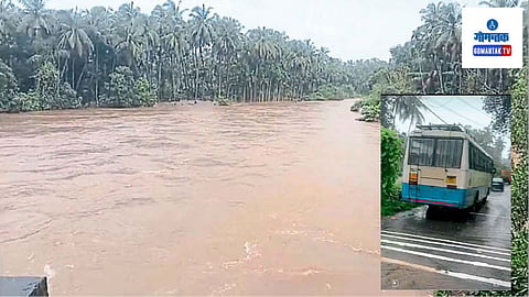 Goa Flood: गाळ उसपल्यास, वाढलेली झाडे हटवल्यास गावात पूरस्थिती उद्‍भवणार नाही