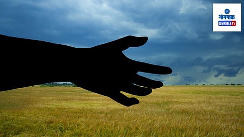 Goa Illegal Land Grabbing: याप्रकरणी तपासकामासाठी विशेष तपास पथकाला मुक्त हस्त दिला आहे