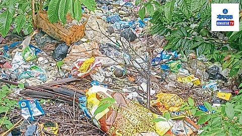Garbage Issue At Mulgao: कचरा टाकण्याचे प्रकार बंद झाले नाही तर भयानक समस्या निर्माण होण्याची शक्यता आहे