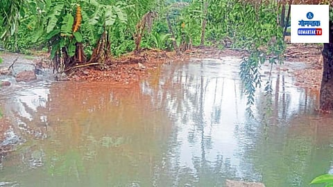 Mopa Water Issue: दरवर्षी सरकार नुकसान भरपाई देण्याची घोषणा करते, परंतु अंमलबजावणी मात्र होत नाही