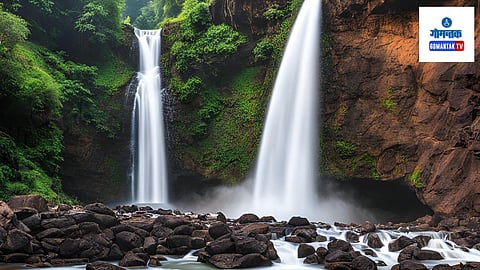 Goa Forest Department: धबधब्यांच्या पाण्यात उतरण्यास वन खात्याने बंदी घातली होती ती आता उठवण्याचा निर्णय घेतला  आहे